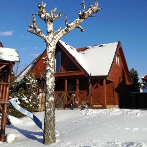 a tree in the snow in front of a barn at Domček pri vode in Mlynčeky