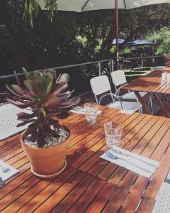 una mesa de madera con una maceta encima en Athelstane House, en Queenscliff