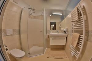 a bathroom with a shower and a sink and a toilet at Gasthof Alpenblick in Amstetten