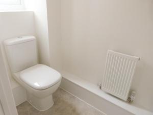 a white bathroom with a toilet and a radiator at Tennyson Cottage in Freshwater