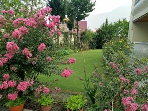 Giardino di Snow Leopard Lodge