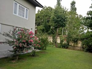 Giardino di Snow Leopard Lodge