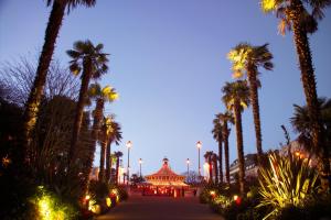 a street with palm trees and a building at night at Spring Lodge in Bournemouth