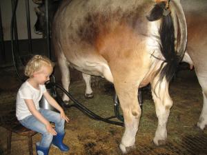 a young boy sitting in a chair next to a cow at Haus Hochzeigerblick in Wenns