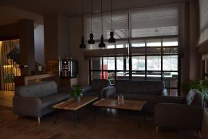 Ciflik Winery的休息区