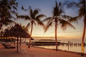 um grupo de palmeiras na praia ao pôr do sol em Atlantic Bay Resort em Key Largo