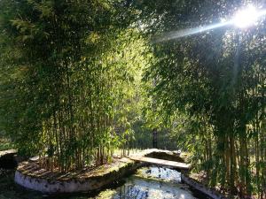 Zahrada ubytování Moulin Lou Apmay