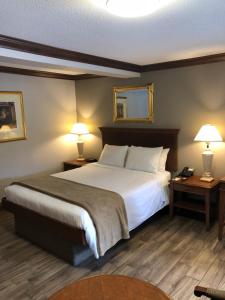 a bedroom with a bed with two tables and two lamps at Talbot Trail Inn & Suites in Leamington