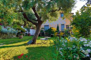 a garden with a tree and flowers in front of a building at Casa Anna a Pietrasanta in Toscana con piscina in Pietrasanta