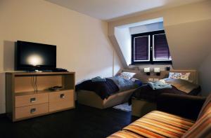 Televízia a/alebo spoločenská miestnosť v ubytovaní Butorowy Residence