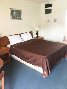 Postel nebo postele na pokoji v ubytování Village Motel
