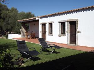 a yard with two chairs and a dog in front of a house at Il Vecchio Ginepro in Arzachena