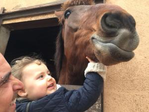 Deti v ubytovaní Casa Rural Hípica Mas Paguina