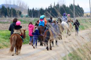 Hostia v ubytovaní Casa Rural Hípica Mas Paguina