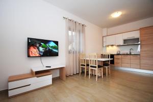 Η κουζίνα ή μικρή κουζίνα στο Apartments Paklenica