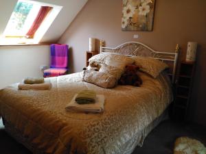 Ein Bett oder Betten in einem Zimmer der Unterkunft cwmddol fawr cottage