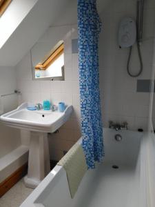 卡馬森的住宿－cwmddol fawr cottage，浴室配有盥洗盆、卫生间和浴缸。