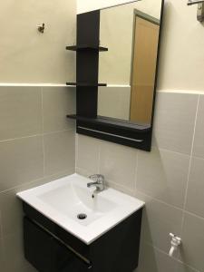 La salle de bains est pourvue d'un lavabo et d'un miroir. dans l'établissement Louie Homestay Mersing, à Mersing