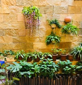 um monte de vasos de plantas numa parede de tijolos em March Garden next to the Furniture Market em Shunde