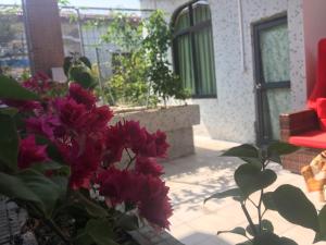 三月花园（家具城旁）外面的花园