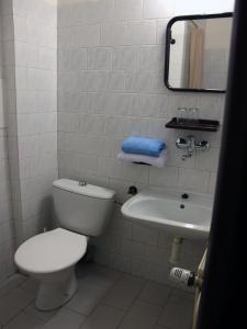 Koupelna v ubytování Hotel Olga