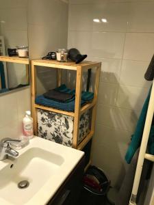 a bathroom with a sink and a shower at Les Lodges du Canal Vue sur le canal in Rogny
