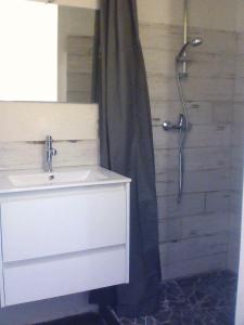 a bathroom with a sink and a shower at Au coeur de la Durolle in Thiers