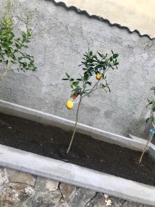 Fotografie z fotogalerie ubytování Le Due Porte v destinaci Maiori