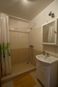 a bathroom with a sink and a shower with a mirror at Svečiuose pas Aldoną in Druskininkai
