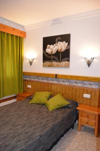 コニル・デ・ラ・フロンテーラにあるLas Cañas Iのベッドルーム(ベッド1台、緑のカーテン付)
