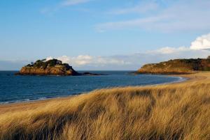a beach with tall grass and an island in the water at Fée Morgane - Chambres in Saint-Coulomb