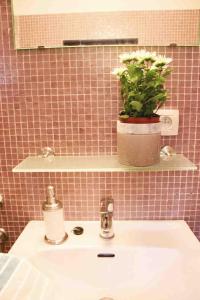 een wastafel in de badkamer met een potplant op een plank bij De Hoog Weyen in Halen