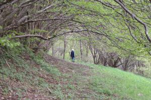Un homme qui emprunte un chemin à travers une forêt dans l'établissement Hotel Sant Gothard, à Arinsal