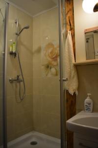 Koupelna v ubytování Guest House Ziedkalni