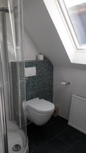 a bathroom with a toilet and a skylight at Haus am Hafen in Leer +32 photos