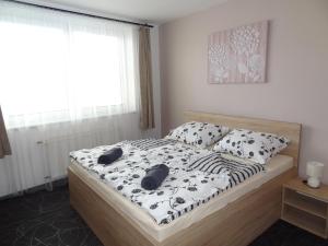 ブジェツラフにあるApartmán Lednickáのベッドルーム1室(ベッド1台、白黒のシーツ、枕付)