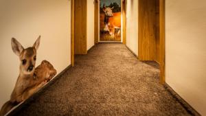 Fotografie z fotogalerie ubytování Bollenhuthotel Kirnbacher Hof v destinaci Wolfach