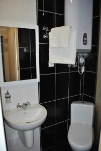 a bathroom with a sink and a toilet and a mirror at Hotel Elegia in Trostyanetsʼ +49 photos