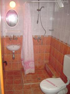 a bathroom with a shower and a toilet and a sink at NELLY Guest House in Ravda +32 photos