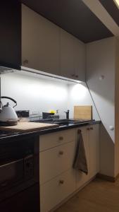 Küche/Küchenzeile in der Unterkunft Willa Karo