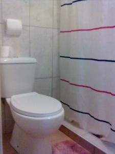 a bathroom with a toilet and a shower curtain at Hospedaria do Seixo in Porto