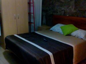 Un dormitorio con una cama con una almohada verde. en Hospedaria do Seixo, en Oporto