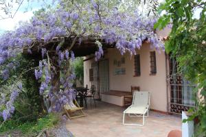 a garden with purple wisteria hanging from a pergola at Casa Rustica Lentini in Lascari