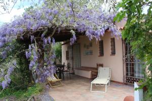 ラスカリにあるCasa Rustica Lentiniの紫藤の花の庭