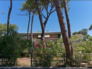 budynek z drzewami i kwiatami w ogrodzie w obiekcie Belvilla by OYO Il Girasole w mieście Principina a Mare