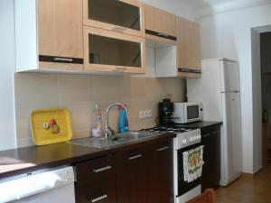 Кухня или мини-кухня в Hanna Apartman
