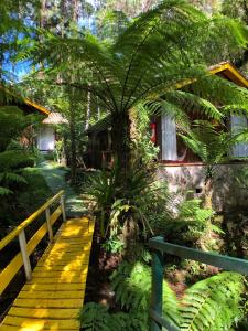 une passerelle en bois menant à une maison ornée de plantes dans l'établissement Pousada Villa D'Amore, à Monte Verde