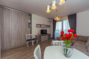 Televiisor ja/või meelelahutuskeskus majutusasutuses Apartments Monte Re
