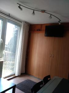 uma sala de estar com uma grande janela e uma televisão em Na Polesí em Žlutice