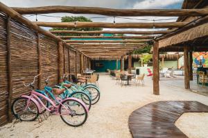 Jízda na kole v ubytování Nílu Cancun Downtown by Selina nebo okolí